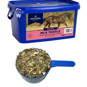 Dodson & Horrell Milk Thistle Mariadistel