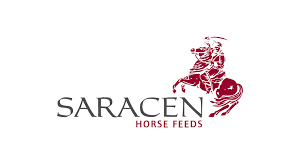Saracen